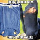 Hang In There Guys