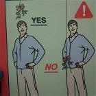 Hanging Mistletoe
