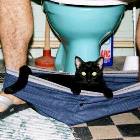 Hanging Out