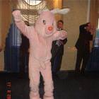Happpy Bunny