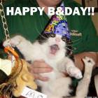 Happy Bday