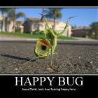 Happy Bug