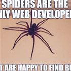 Happy To Find Bugs