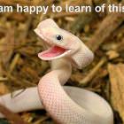 Happy To Learn