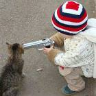 Hates Kittens