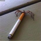Have A Smoke