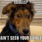 Have Not Seen Them