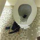 Having A Bad Day