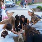 Having A Puppy In College