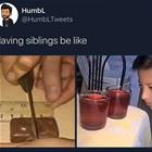 Having Siblings