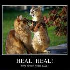 Healer Cat