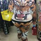 Hear Me Roar