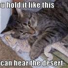Hear The Desert