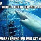 Helpful Shark