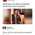 Her Divorce Explained