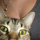 Her Eyes