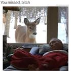 Hey You
