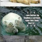 Hide And Seek