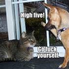 High Five