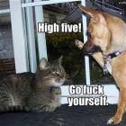 High Five