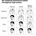 Highschool Homework Habits