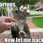 Hilarious