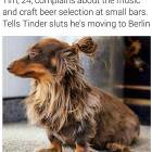 Hipster Tim