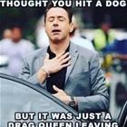 Hit A Dog