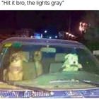 Hit It Bro
