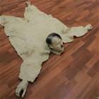 Hitler Rug