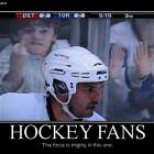 Hockey Fans