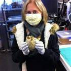Holding Her Heart