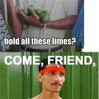Holding The Limes