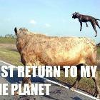 Home Planet