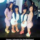 Honey I Shrunk Them