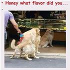 Honey What Flavor