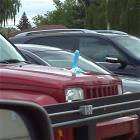 Hood Ornament