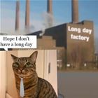 Hope Not