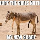 Hope The Girls Notice