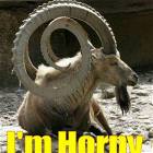 Horny