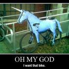 Horse Bike