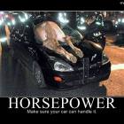 Horse Power