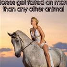 Horses