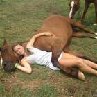 Horsin Around