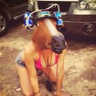 Horsing Around