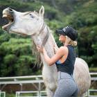 Horsing Around