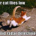 Hover Cat