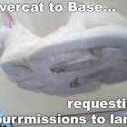 Hovercat To Base