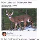 How Can You Eat These