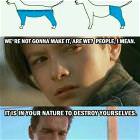 How Do Dogs Wear Pants